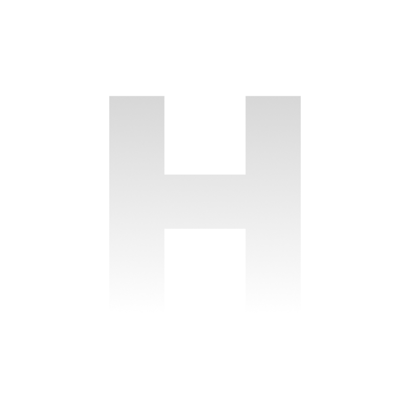 Homburger logo