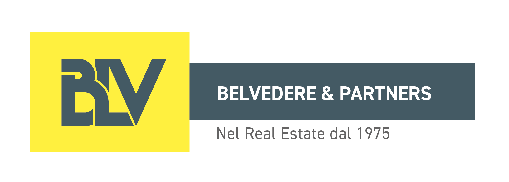 Belvedere & Partners logo