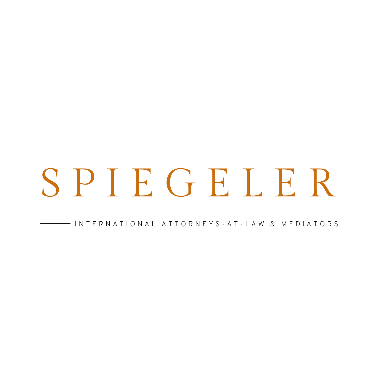 Spiegeler International Attorneys-at-Law & Mediators logo