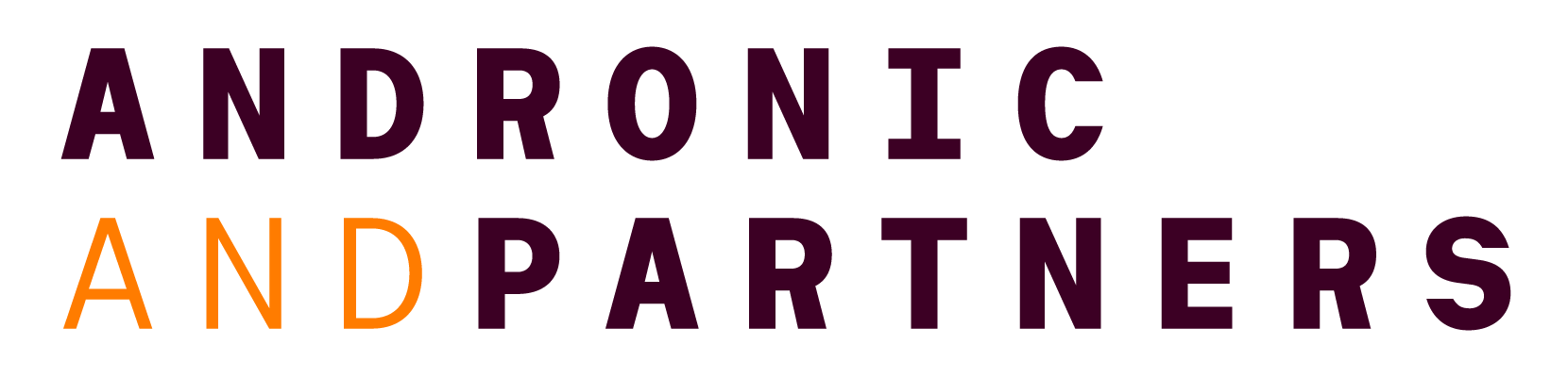 Andronic and Partners logo