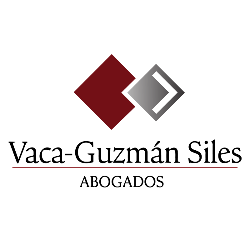 Vaca Guzmán Siles Sociedad Civil logo