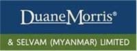 Duane Morris & Selvam LLP logo
