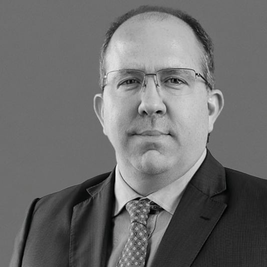 Domingo Rivarola photo