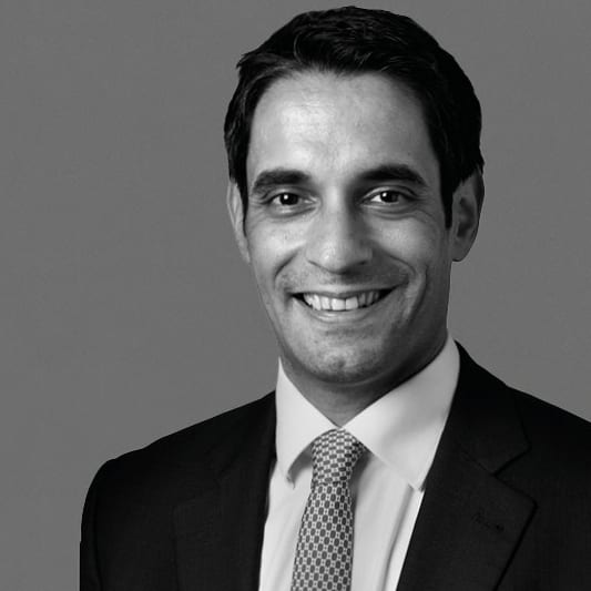 Francisco Santos Costa photo