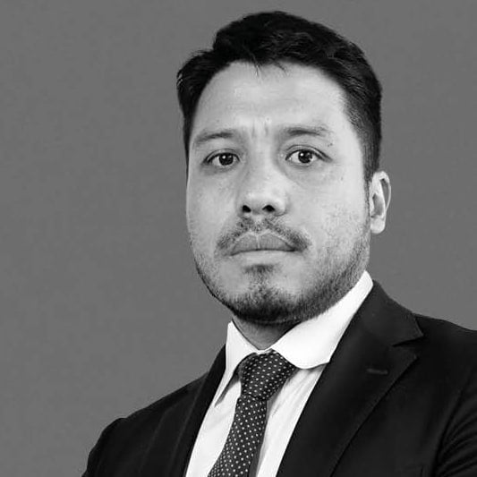 Raúl Fernández Toledo photo