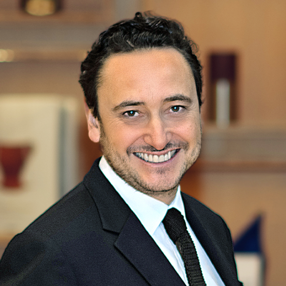 Stéphane Puel photo