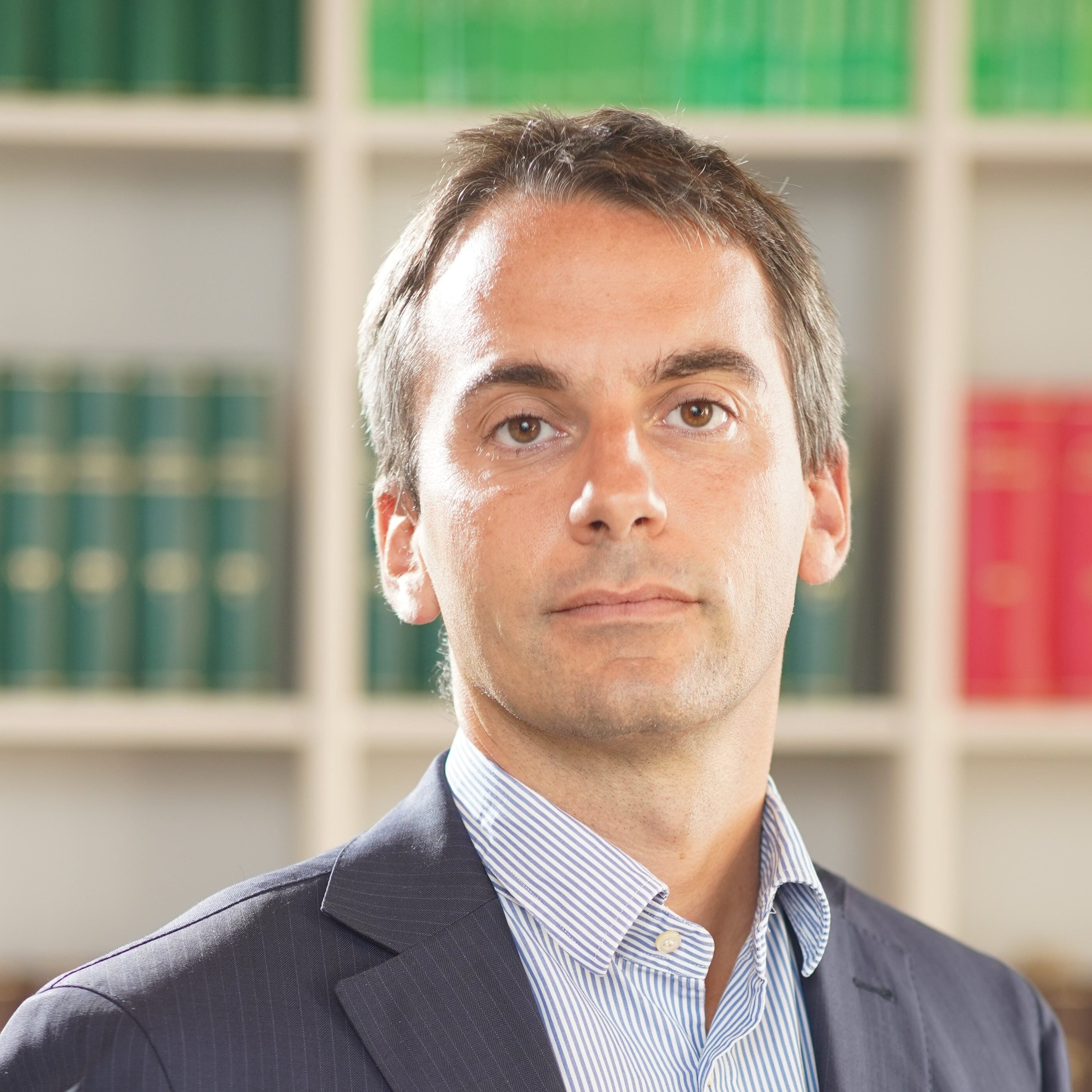 Vittorio Cerulli Irelli photo