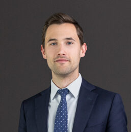 Thijs Vermeulen photo