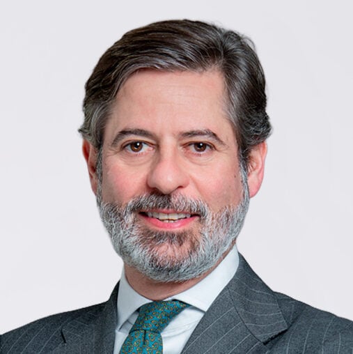 Javier Martín-Merino y Bernardos photo