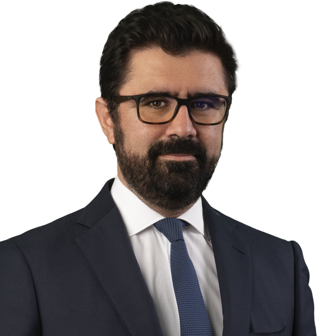 António Castro Caldas photo