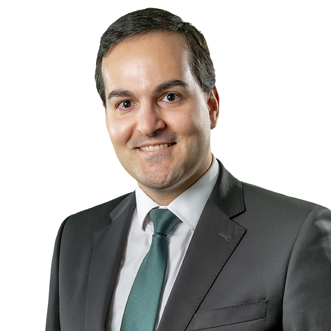 Luís Bertolo Rosa photo