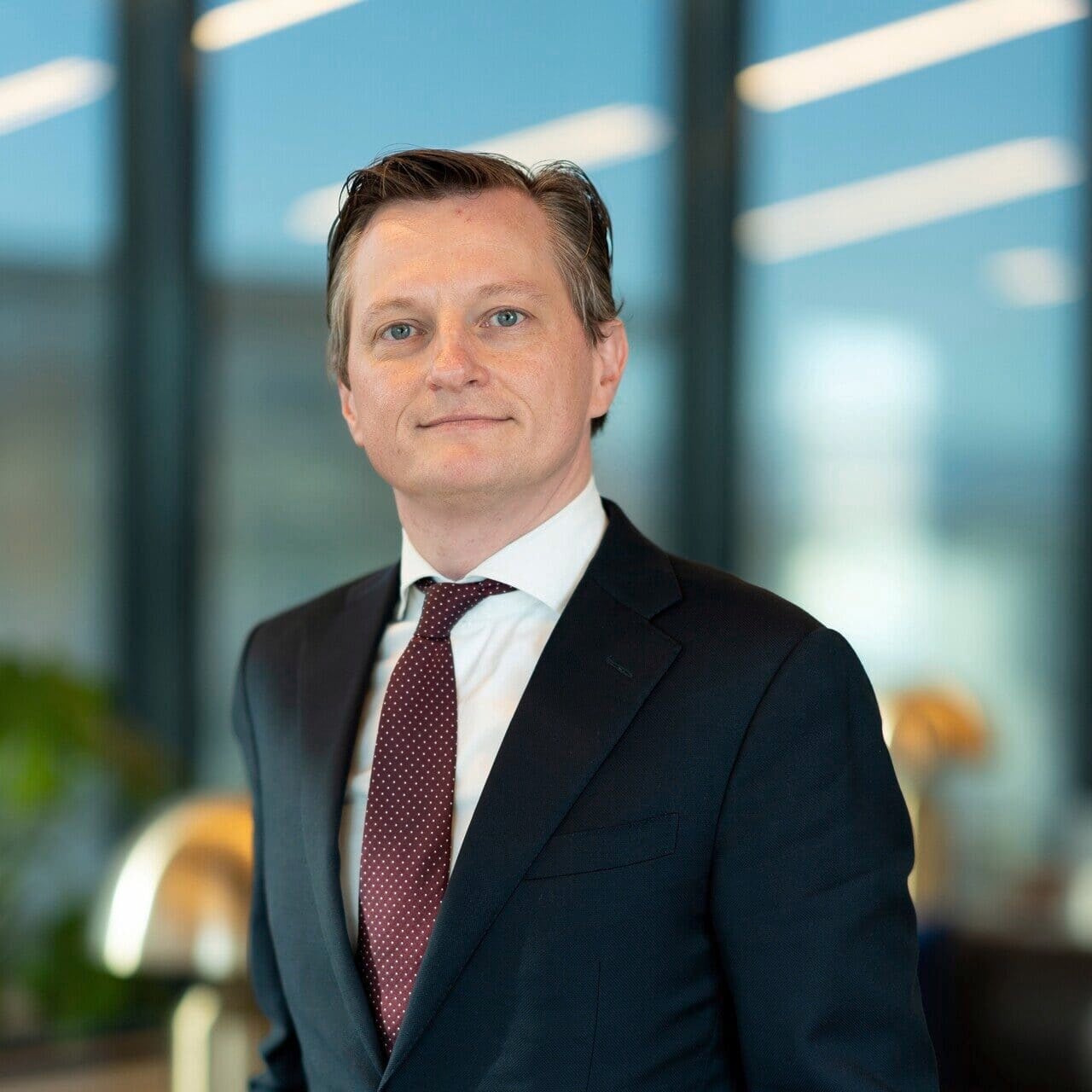 Ole Andenæs photo
