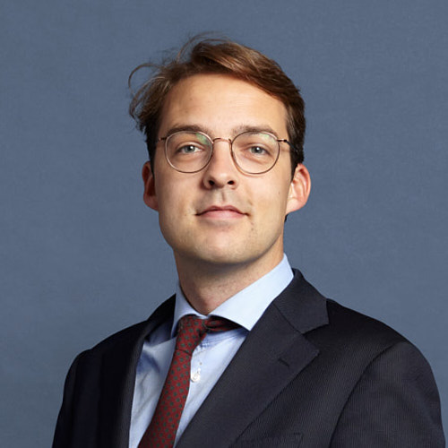 Maarten de Wit photo