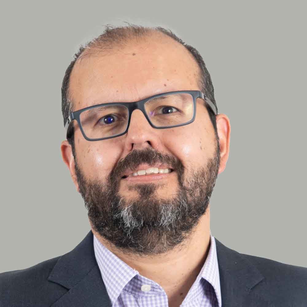 Luis Seguel photo