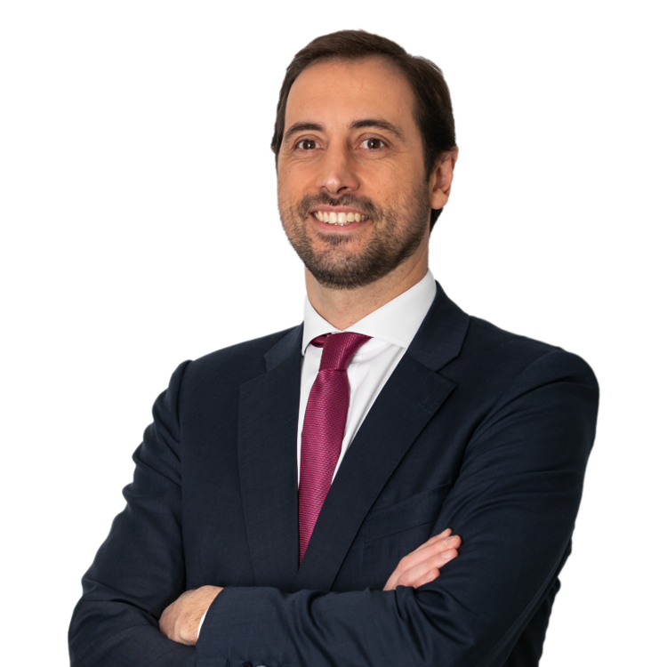 João Soares Franco photo