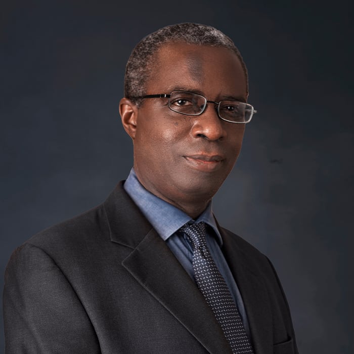 Gbolahan Elias, SAN photo