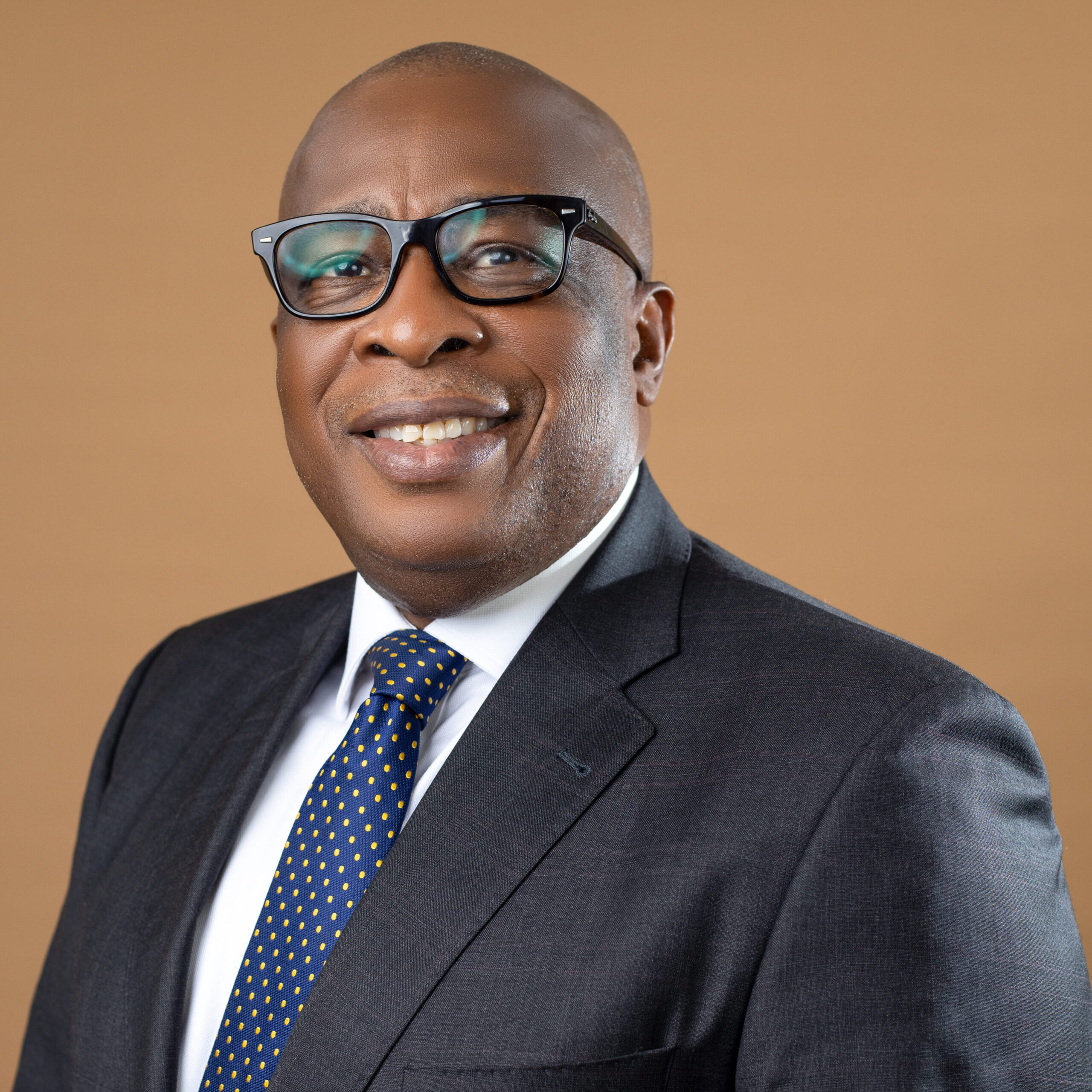 Adedapo Tunde-Olowu SAN photo