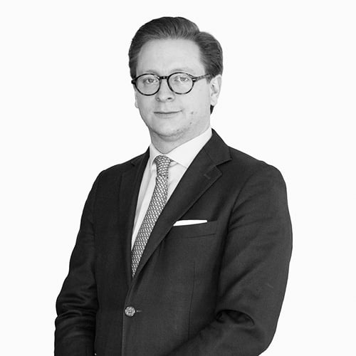 Bernardo Reyes Retana Krieger photo