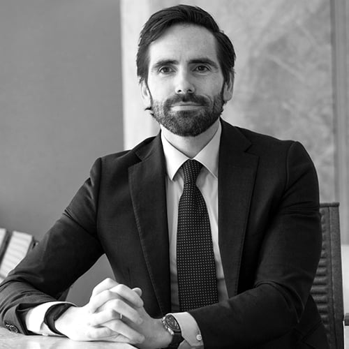 Carlos Vaz De Almeida photo