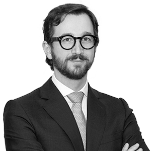 Javier Bau photo