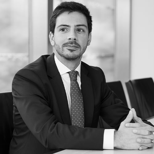 Gonçalo Bargado photo