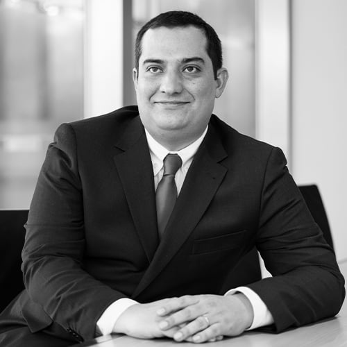 Miguel Riço dos Santos photo