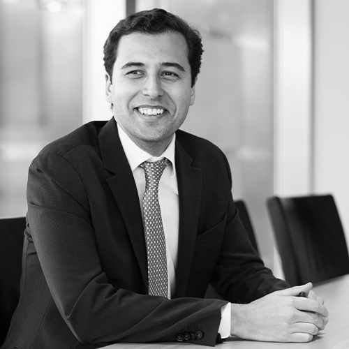 Francisco Mendes Amaral photo