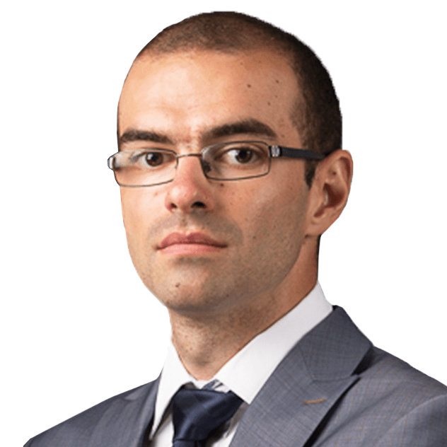 Vlad Stamatescu photo