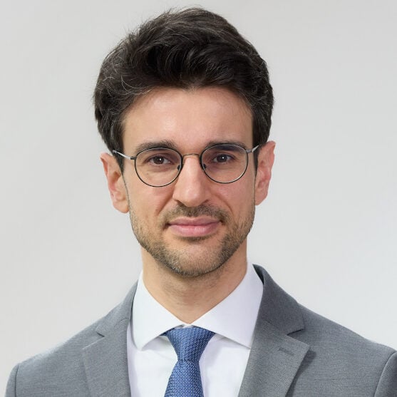 Stefan Holzweber photo