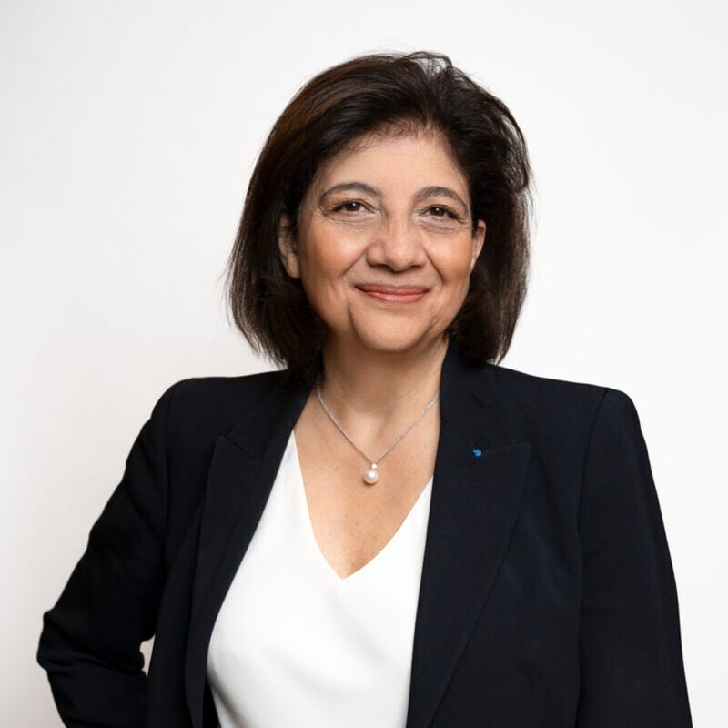 Christiane Féral-Schuhl photo