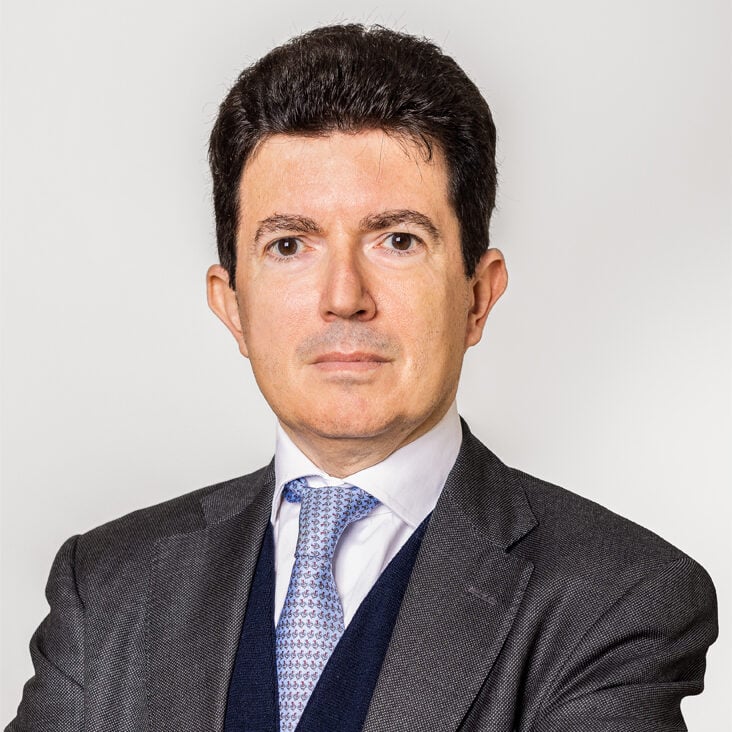 Ludovico Anselmi photo