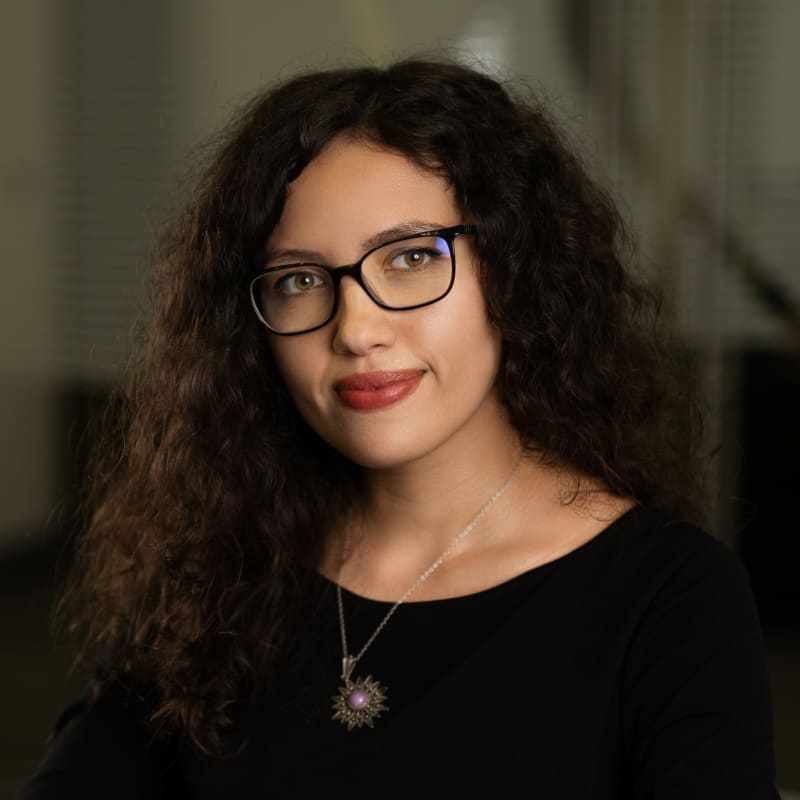 Ana Kashirska Ilievska photo