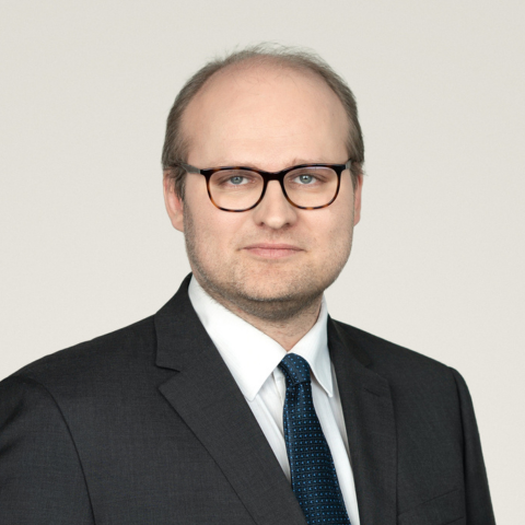 Paul Künnap photo