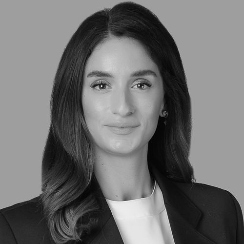 Zeynep Gürsoy Ergin photo