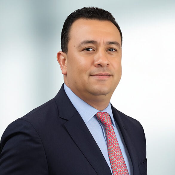Mahmoud El Gharabawy photo