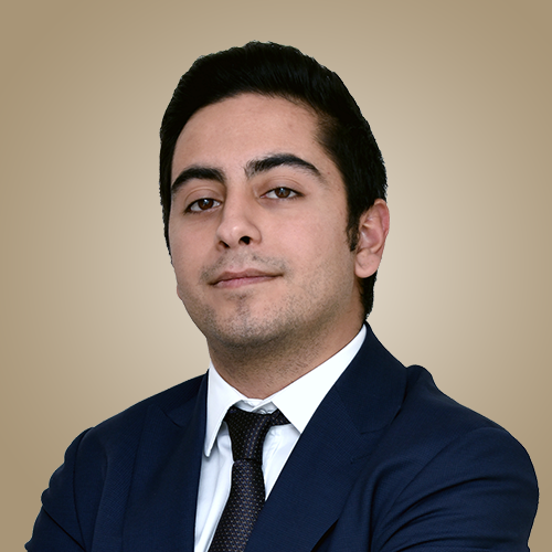 Derviş Boran Beysülen photo