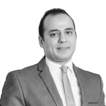Mohamed Hashish photo