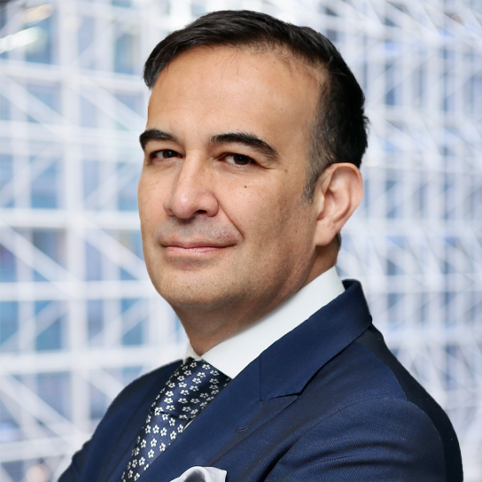 Jaime Espinosa de los Monteros photo
