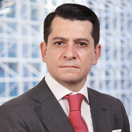 Luis Ernesto Peón Barriga photo