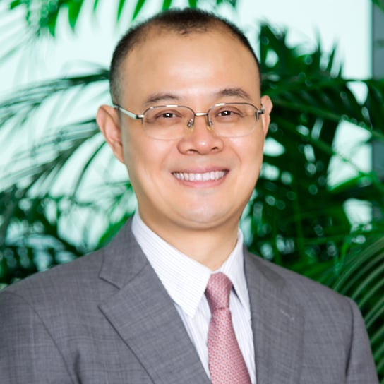 Roy Zou photo