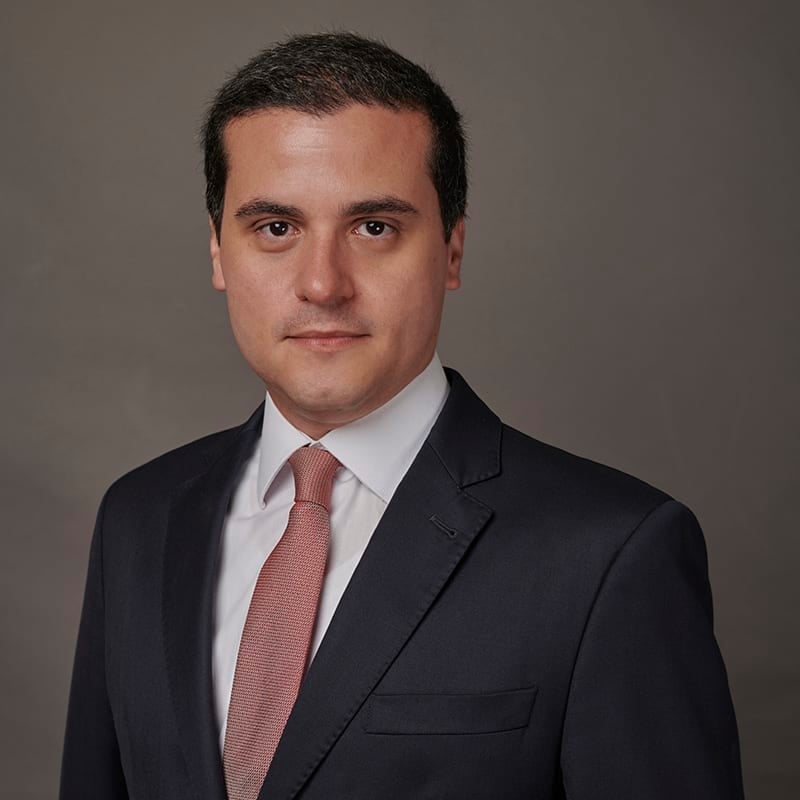 Pedro C.E. Vicentini photo