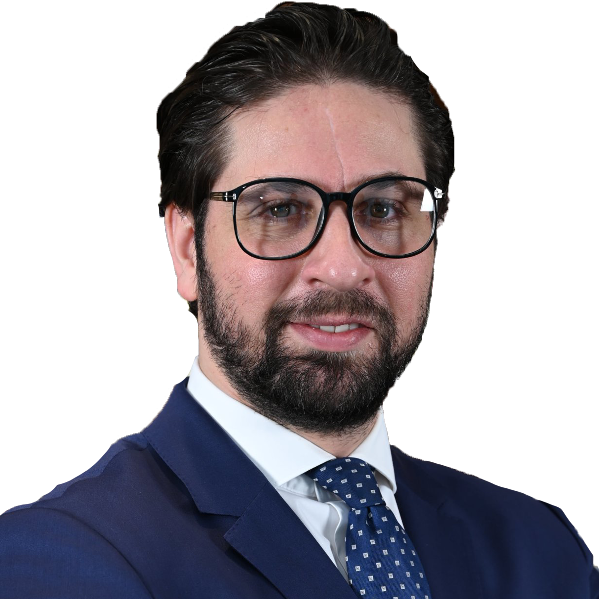 Ibrahim Hanifeh photo