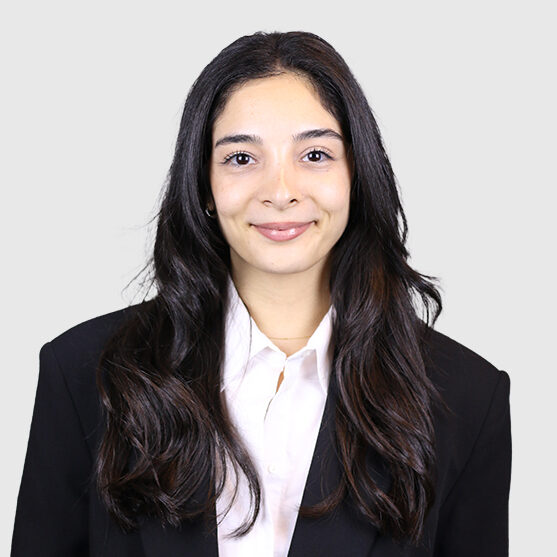 Melis Dal photo
