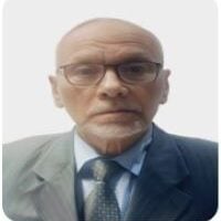 Sayyed Hassan photo