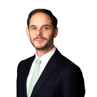 Ilija Mitrev-Penushliski photo