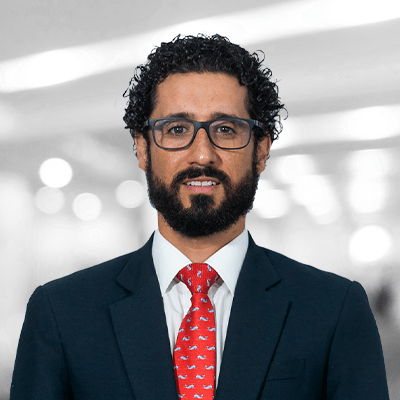 Gustavo-Adolfo Vargas photo