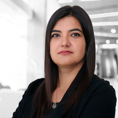 Valerya Theodoracopoulos photo