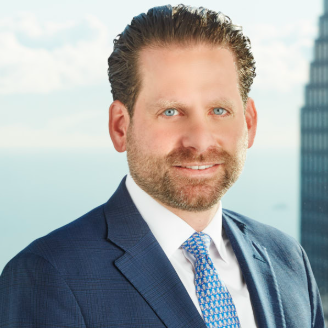 David Birnbaum photo