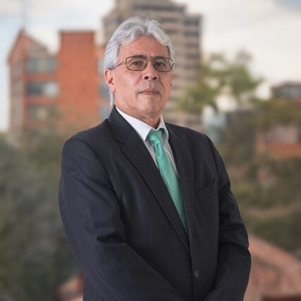 Álvaro Parra Gómez photo
