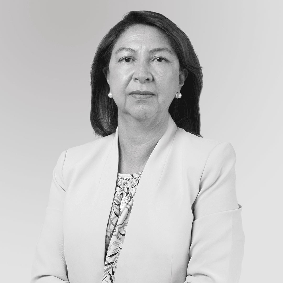 Mariana Villagómez Álvarez photo